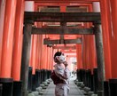 星獣とエネルギーを鑑定味方につける方法を伝授します 人生にプラスのエネルギーをもたらします イメージ3