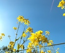 心をほぐし、かるくします 誰にも言えない気持ち、ここで休ませて。 イメージ1