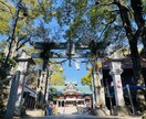 家庭円満/子宝/安産⛩多摩川浅間神社代理参拝します リピーター様専用‼️祈願‼️美しく強い女神《木花咲耶姫命》 イメージ2