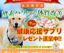 キャッチコピー＋WEB画像をセットで作成します 制作枚数800枚突破！現役のWEBデザイナーが迅速作成！ イメージ3