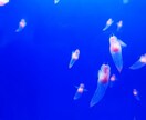 未来の子どもの声、天使の声、届けます 私は4人の子を授かりました。巡り会うためにすべきこと イメージ2