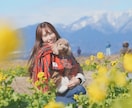 プロフィール写真撮影いたします あなたの魅力を最大限に映し出す写真を残します！ イメージ3