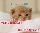 日常の何気ないことでも!お話を聴きます 誰かと話したい…雑談/悩み相談/嫌だったこと/嬉しかったこと イメージ5
