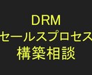 DRMセールスプロセス構築の相談にのります 【重要！】特定リピーター様のみ受付可 イメージ1