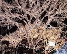 今の人間関係を前世から視てみます 過去世・前世占いをしっかりと視ていきます。 イメージ1