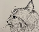 挿絵などに！味のあるイラスト描きます ペンや絵の具、クレヨンなどで手描きのイラストを制作します イメージ3