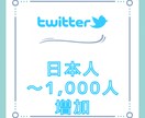 日本人フォロワー爆速で増加します 2023年最新のモデルでTwitter日本人フォロワー増加 イメージ1