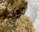自身の性別に悩んでいる方恋愛など全て相談に乗ります LGBTQの皆様ご相談に乗ります イメージ1