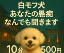 先着1名様！1時間500円でなんでも話せます ありのままどうぞ。犬が聞きます。 イメージ2