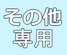 専用の場合のみ活用できます こちらは本出品とは違う場合のみご利用ください イメージ1