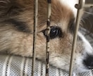 1分からでもOK！貴方からのお電話待ってます 大学生の僕がなんでもお話し聞きます。 イメージ3