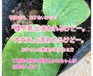 保育士かあちゃんが子育ての不安お聞きします 「様子見」「大丈夫」と言われるけどそんなモヤモヤないですか？ イメージ1