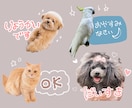 かわいいペットのLINEスタンプ作成します オリジナルペットLINEスタンプ制作します！ イメージ2