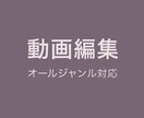 動画編集承ります YouTube／広告／商品説明／ショート／各SNS動画 イメージ1