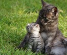 癒し＆イケボなオッサンが心のモヤモヤをお聞きします 心理学に精通したプロコーチが頑張るアナタの心の声を拝聴します イメージ10