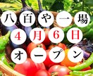 書籍や電子書籍のデザインを請け負います デザインに制作はお任せください イメージ3