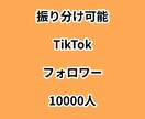 TikTokフォロワー10000人増やします ⭐振り分け可能⭐フォロワーが増えるよう拡散します！ イメージ1