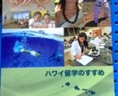 留学トラブル相談承ります 海外留学トラブル相談経験者が聞く駆け込み寺 イメージ1