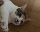話し相手や愚痴聞きになります たくさん話してもらえると嬉しいです！ イメージ1