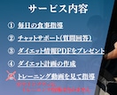 ダイエット最初の2週間をサポートます お試し向けのライトプランです。 イメージ3