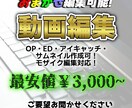 YouTuber風動画編集やります 完全おまかせから参考YouTuber指定まで！ イメージ1