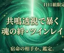 1日1組限定◇共鳴透視で彼がツインレイか暴きます 言葉を超えた不思議な縁。魂の片割れ（ツイン）か真偽を鑑定 イメージ1