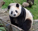 とりあえず聞いて欲しい！そんなあなたを待ってます オールジャンル・老若男女問わずお待ちしています。 イメージ1