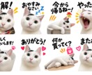 生成AIでオリジナル画像キャラクターを制作します ふわっとしたイメージから、あなただけのキャラクターを。 イメージ8