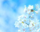 1週間 お話聞きます 友達感覚、LINE感覚でok (^_^)v イメージ1