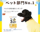 生年月日に基づく愛犬の個性分析レポートを提供します 犬×個性心理學で、愛犬との暮らしをもっと楽しく！ イメージ6