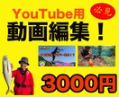 YouTube向け◆動画編集◆致します ジャンル問わず、要望にお応えして編集します。 イメージ1