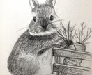 ペット等動物のデッサン、イラストお描きします 大切な家族の思い出を絵に残しませんか？温かい絵お届けします。 イメージ3