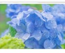 彼の気持ち彼女の気持ちどちらも大切にお聞きします 恋は盲目　はたから見ると意外と簡単なことの多い恋愛の悩み イメージ4