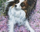 残したいペットの姿を油絵キャンバス原画で届けます 油絵の深みとリアルな描写で家族記念やプレゼントを制作。 イメージ1