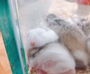ちょっと聞いて欲しい心のモヤモヤ話、私が聞きます 悩み相談や、日頃のモヤモヤを吐き出しませんか？？ イメージ3