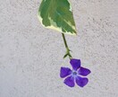 保育や子育てでお悩みの方、相談にのります イメージ2
