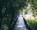 まるで【LINE感覚】２日間！どんな話でも聞きます 女性男性問わず楽しくお話しましょう！悩み、愚痴、なんでもok イメージ7