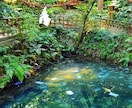 八重垣神社に参拝し良縁成就の祈願を代行します 朝ドラばけばけの聖地/セツとハーンの起点　良縁透視の鏡の池も イメージ2