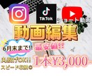 SNS用動画編集します ショート動画/TikTok動画を中心に!! イメージ1