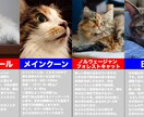 YouTubeサムネ2枚1000円制作します A/Bテストで反応を比較！YouTubeサムネ2枚セット イメージ6