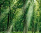誰にも言えない愚痴や悩み、否定せずゆっくり聞きます 答えを出さなくて大丈夫。ただ話したい気持ちに寄り添います。 イメージ5