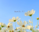 チョットでも♪会話で心の栄養補給✨笑顔で迎えます 男女OK！相談・愚痴・雑談・何でも♪安心して話せる場所☘️ イメージ2