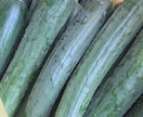 家庭菜園、畑、植木のご相談承ります 野菜、植木農家の経験を活かしサポートします。 イメージ3