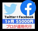 TwitterとFacebookの運用代行します 「属性が違う2つのSNSを使うことでより効果を発揮します」 イメージ1