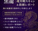 黒龍魂共鳴スキャンで覚醒度数値化レポート作成します 覚醒度数値診断入門体験　黒龍独自測定法で潜在能力を見える化 イメージ2