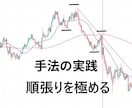 トレンドフォローを極めるための教材を提供します 聖杯探し終了。FXトレードの本質を極めたい方へ イメージ1