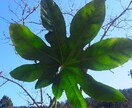 心のモヤモヤ話してスッキリ。気づきの支援をします 障がい福祉３５年、現役プロの心理カウンセラーがお話を聴きます イメージ4