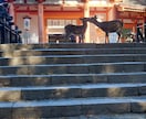 奈良・夫婦大国社でご縁を結ぶ代理参拝をいたします 夫婦神へ祈るハート絵馬奉納つきの恋願成就祈願♡ イメージ8