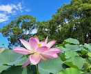心の不安を否定せずあなたの悩みを聴きます 自分を否定してつらい。やる気がでない。気持ちを共有します。 イメージ1