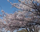 あなたのお悩み、よりそいます 諦める、、後悔する、、前に心を打ち明けてみませんか？ イメージ1